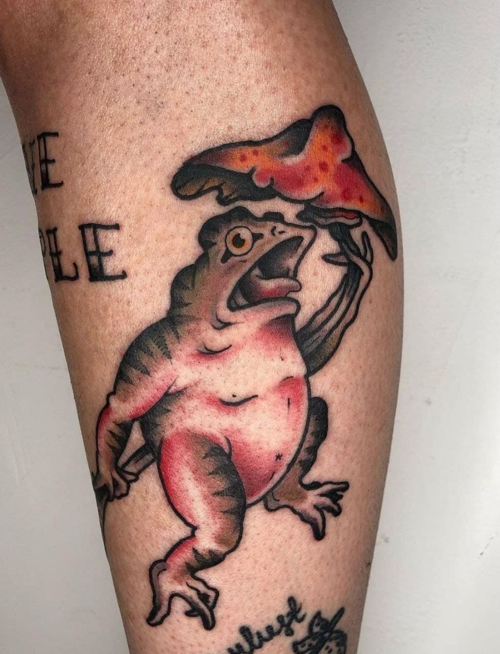 Toad with a mushroom.